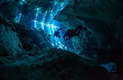 Exploring the Depths: A Guide to Cenote Diving in Tulum