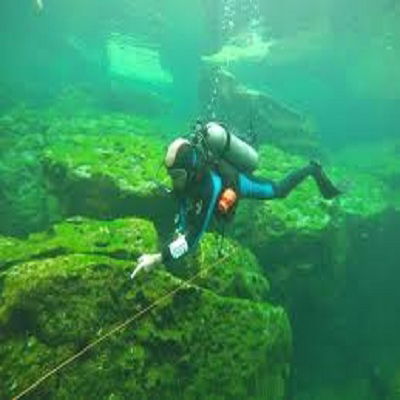 PADI Course in Tulum: Get Your PADI License in Paradise