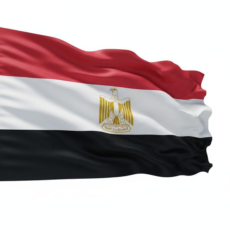 تنفيذ حملات تسويقية ممولة لوزارات مصرية