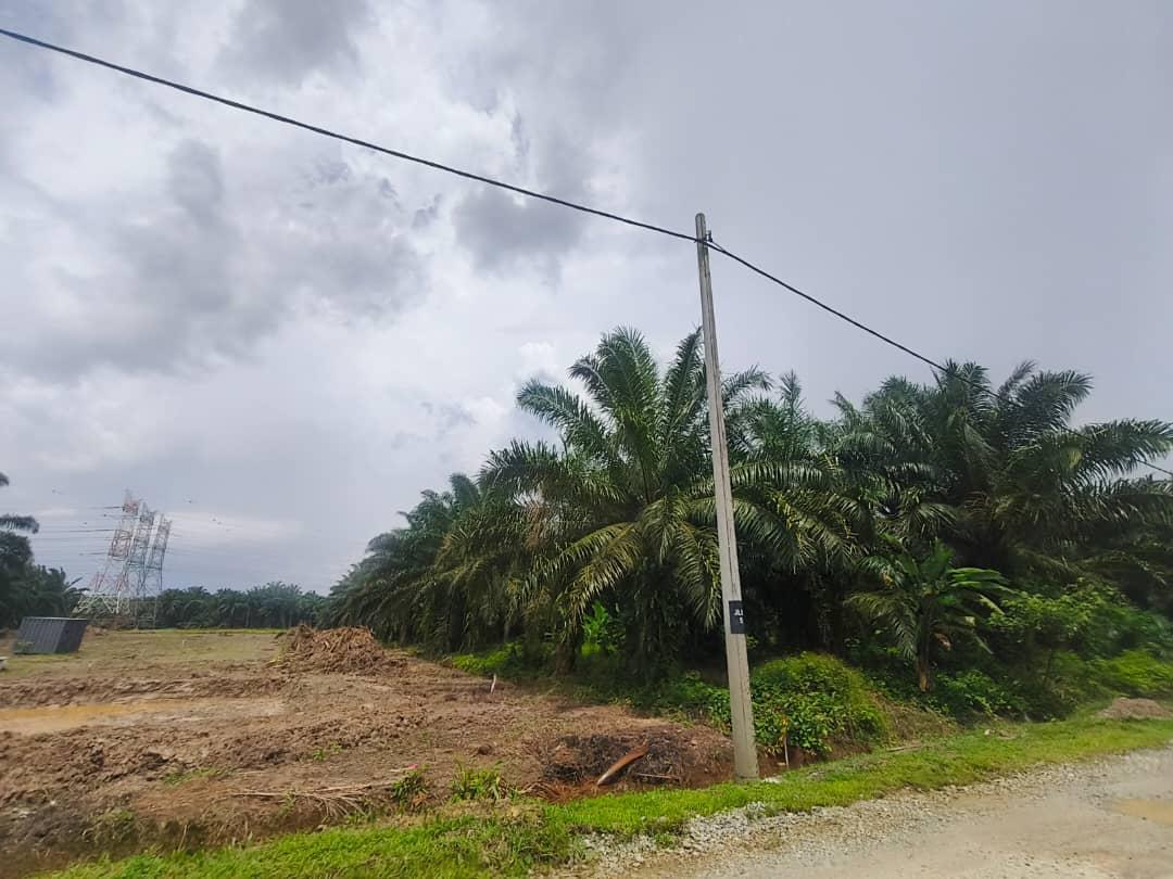 Delivery of Piling Materials