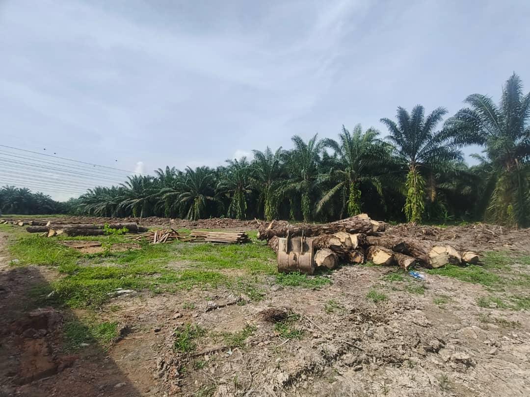 Delivery of Piling Materials