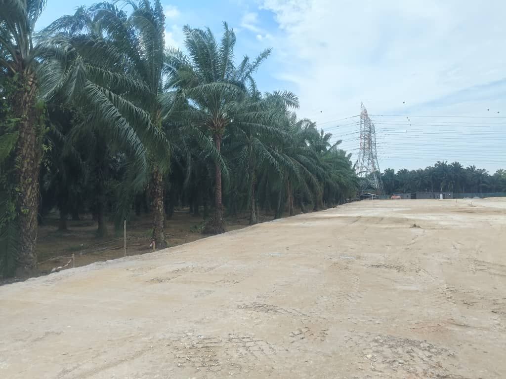 Site Compaction Work