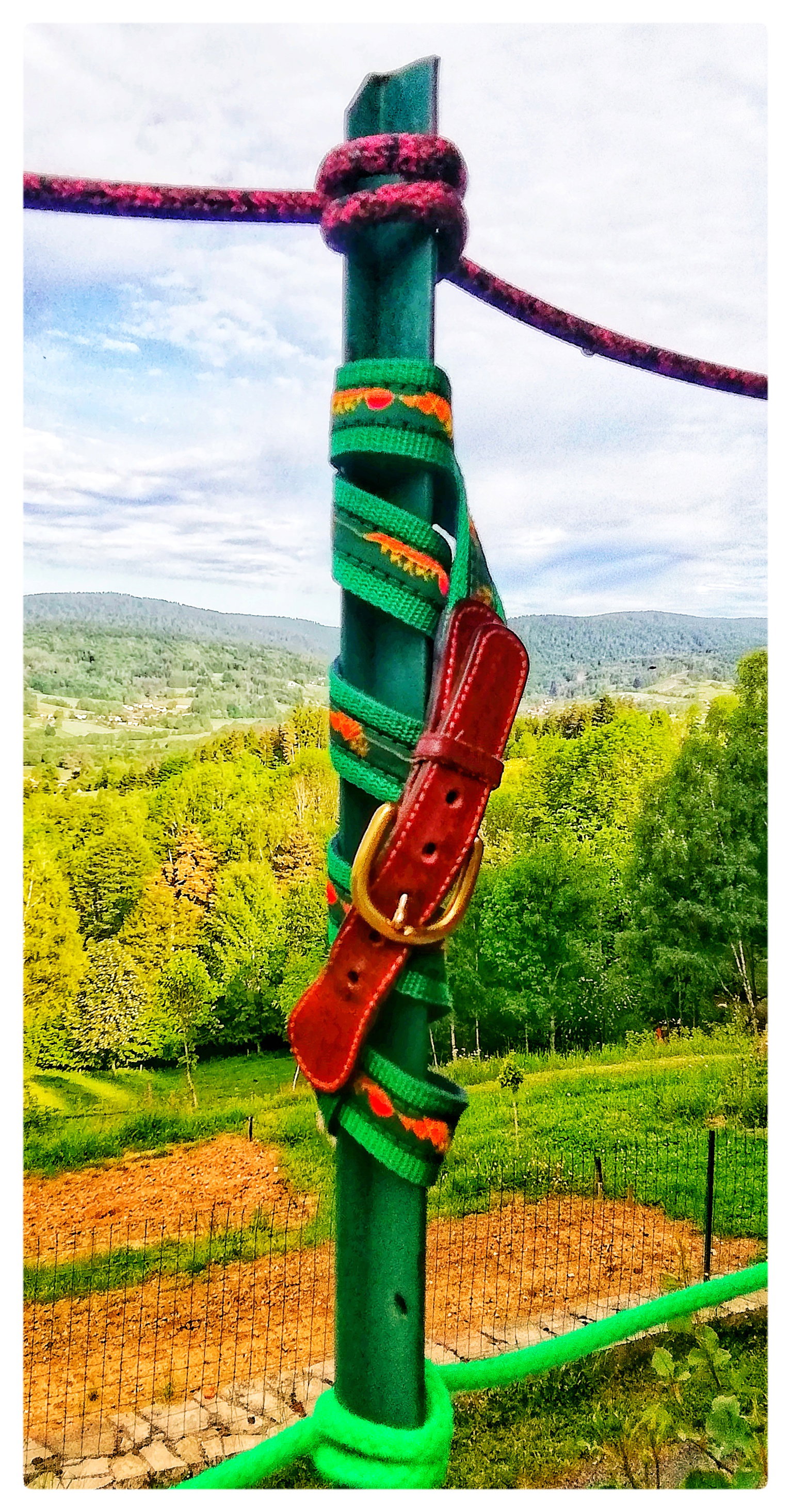 Ceinture...