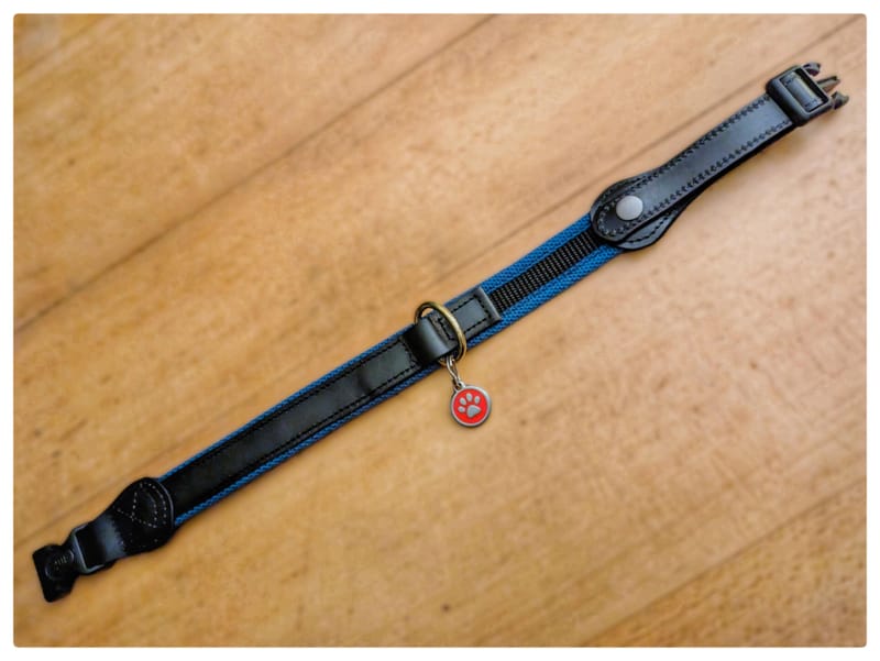 Et pour nos animaux préférés...