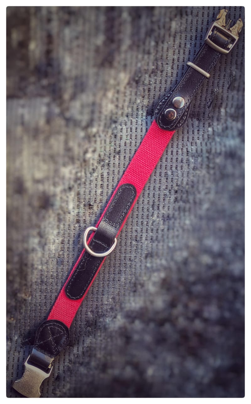 Et pour nos animaux préférés...