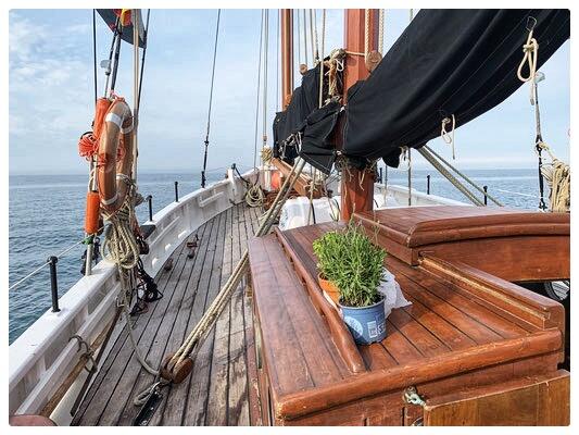 Tauds de soleil et de protection. 