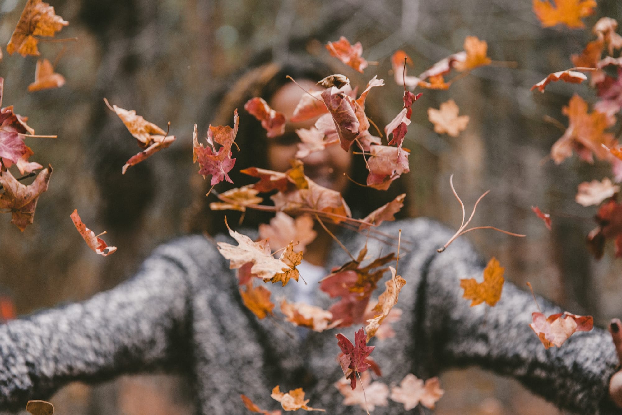 Booster son énergie en automne-divareiki