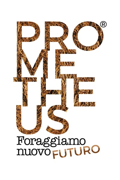 Associazione Pro-Me-The-Us aps