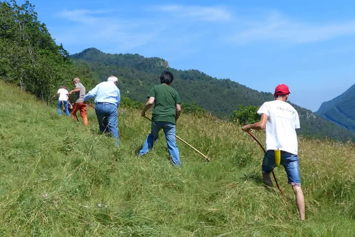 Conferenza Annuale Falciamo