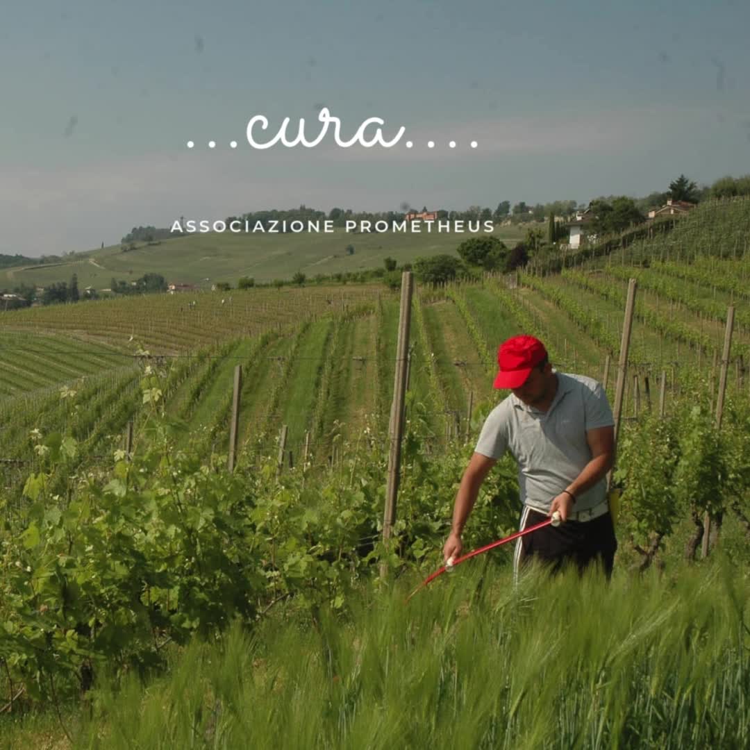 Auguri Buone Feste thumbnail