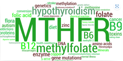 Unraveling the Predisposition: Understanding the MTHFR Gene MutationIntroduction