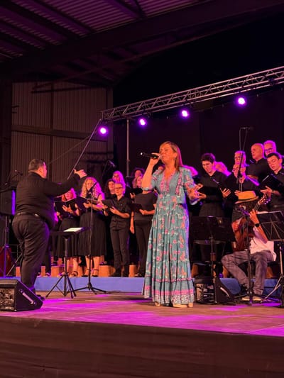 VEREMANT HAVANERES. El passat 29 de Juny