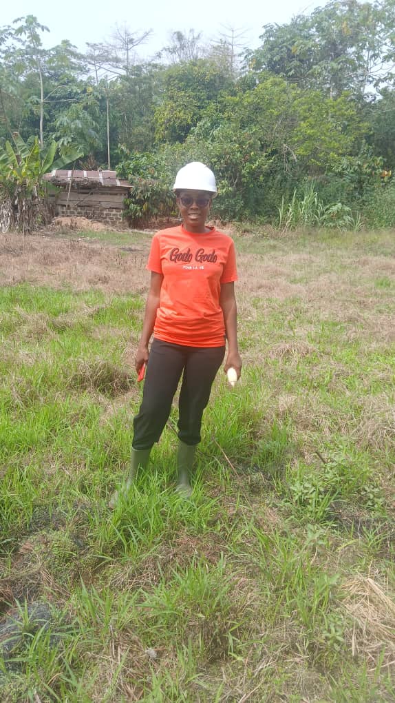 Lancement des travaux pour la culture de gombo à Agboville par ROZAN GROUP SARL