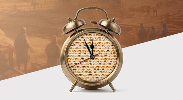 קמפיין פסח תנובת הארץ