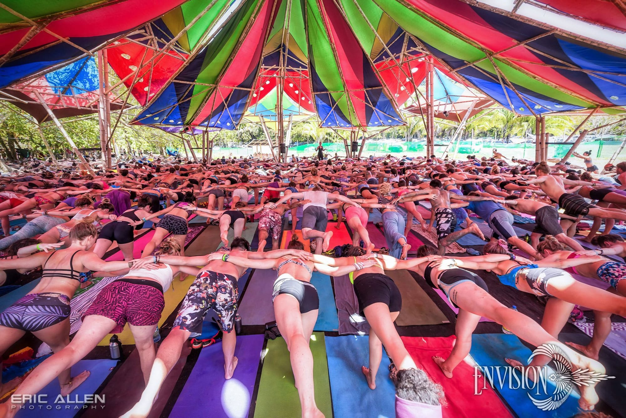 Festival & Vibrant Culture