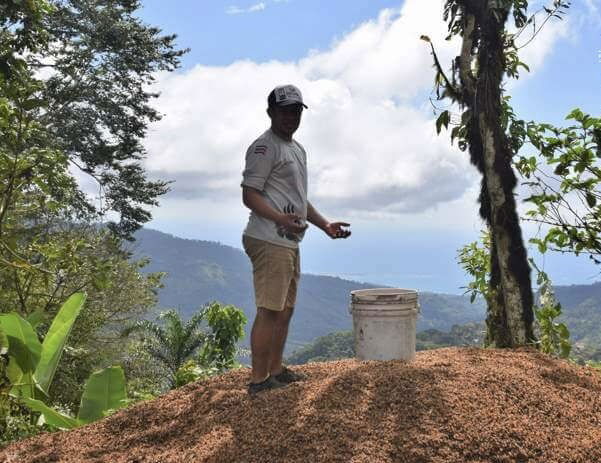 Experience the coffee production in Costa Rica