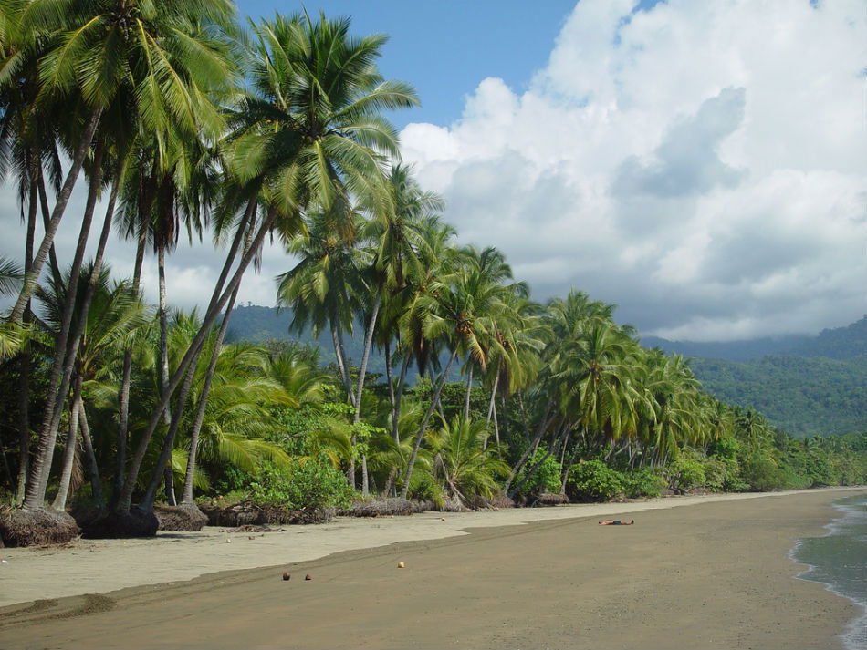 The Humpback Whale Park