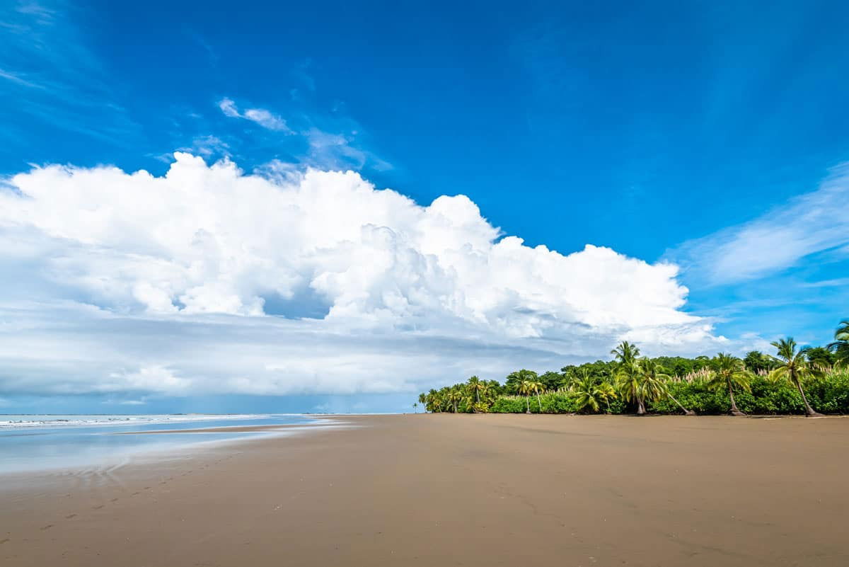 The Humpback Whale Park
