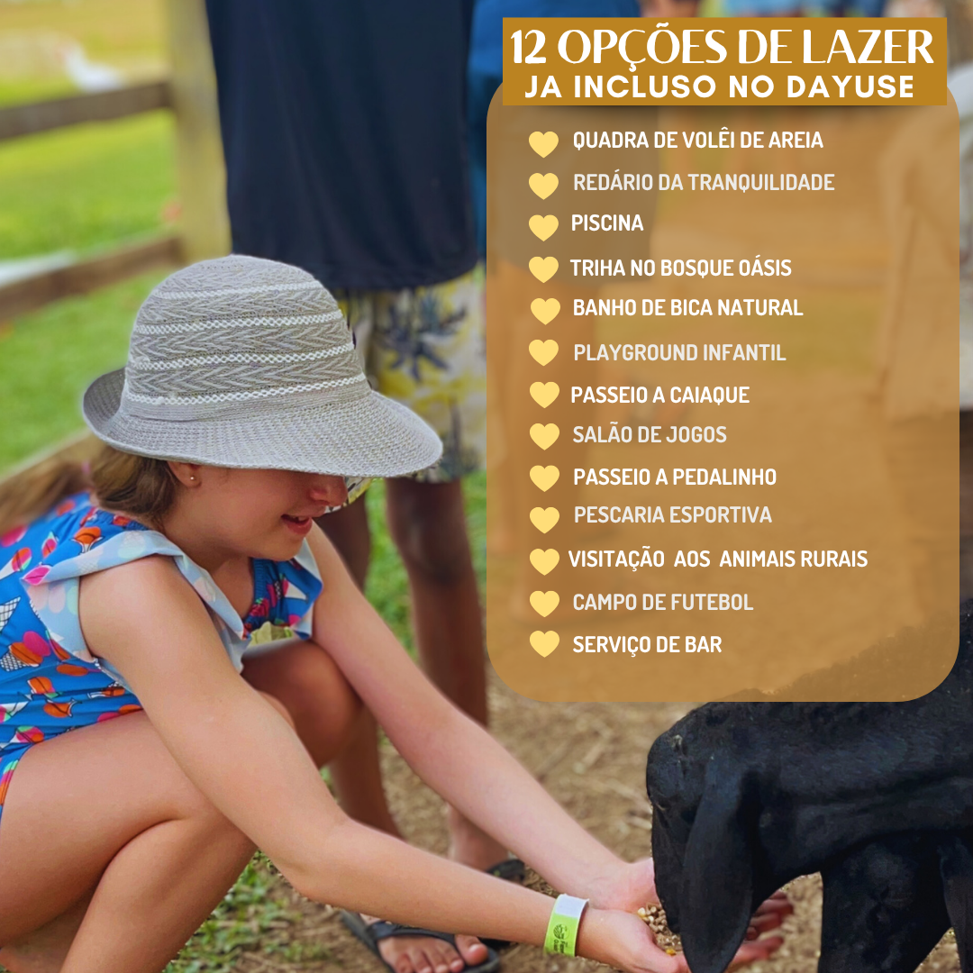 UM DIA DE LAZER PERFEITO