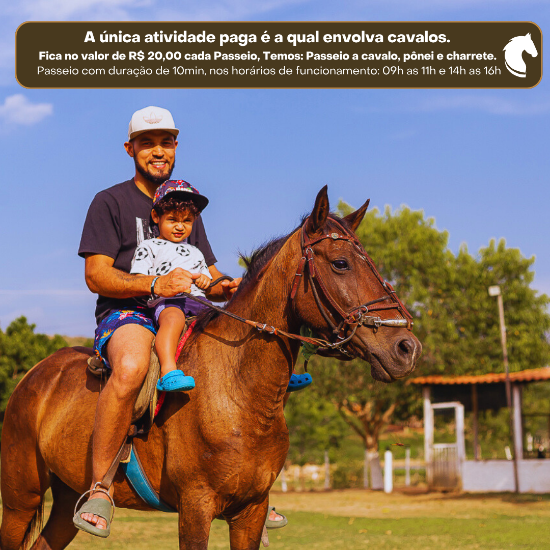 UM DIA DE LAZER PERFEITO