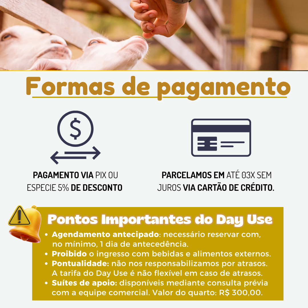 UM DIA DE LAZER PERFEITO