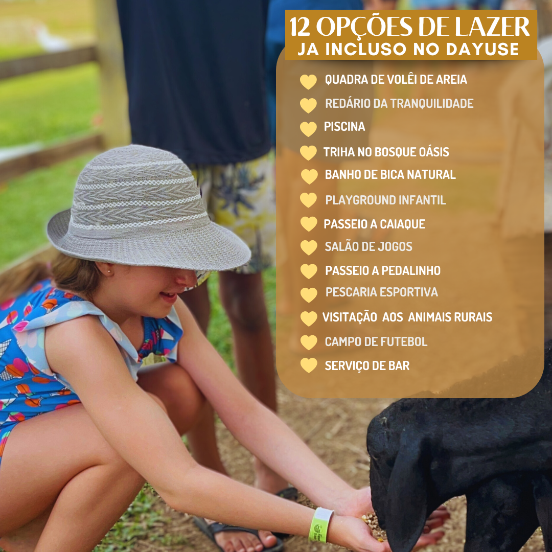 UM DIA DE LAZER PERFEITO