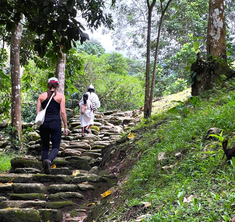 Recorrido por la Sierra Nevada: Explorando la Cultura y Naturaleza de Bunkuany Tayrona