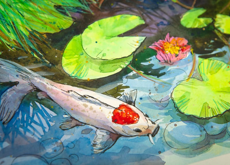 KOI POND