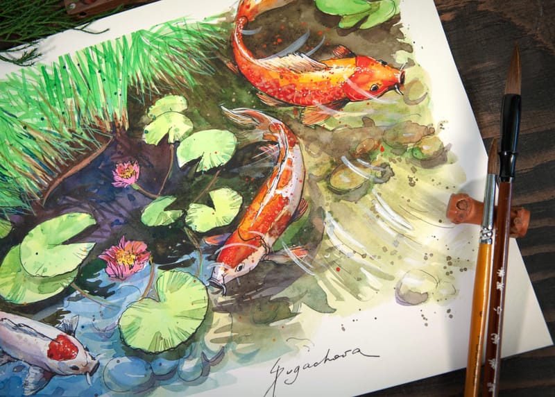 KOI POND