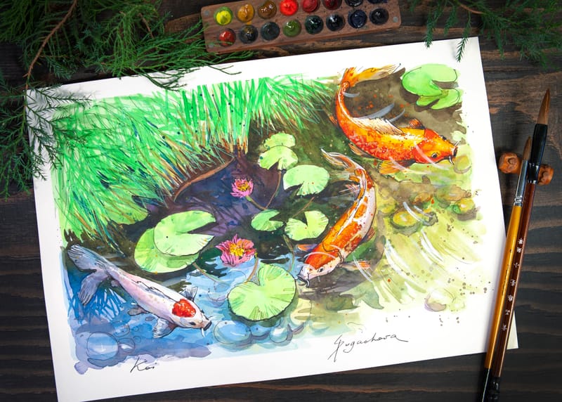 KOI POND