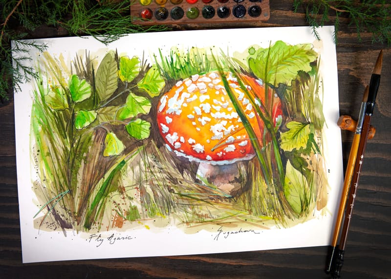 FLY AGARIC