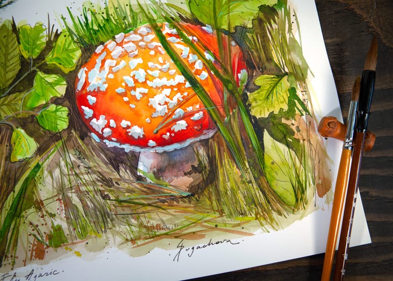 FLY AGARIC