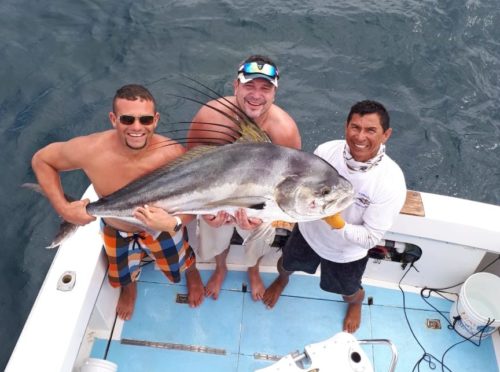 Rooster Fishing Costa Rica