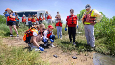 Back to the Bay for Baby Terrapins
