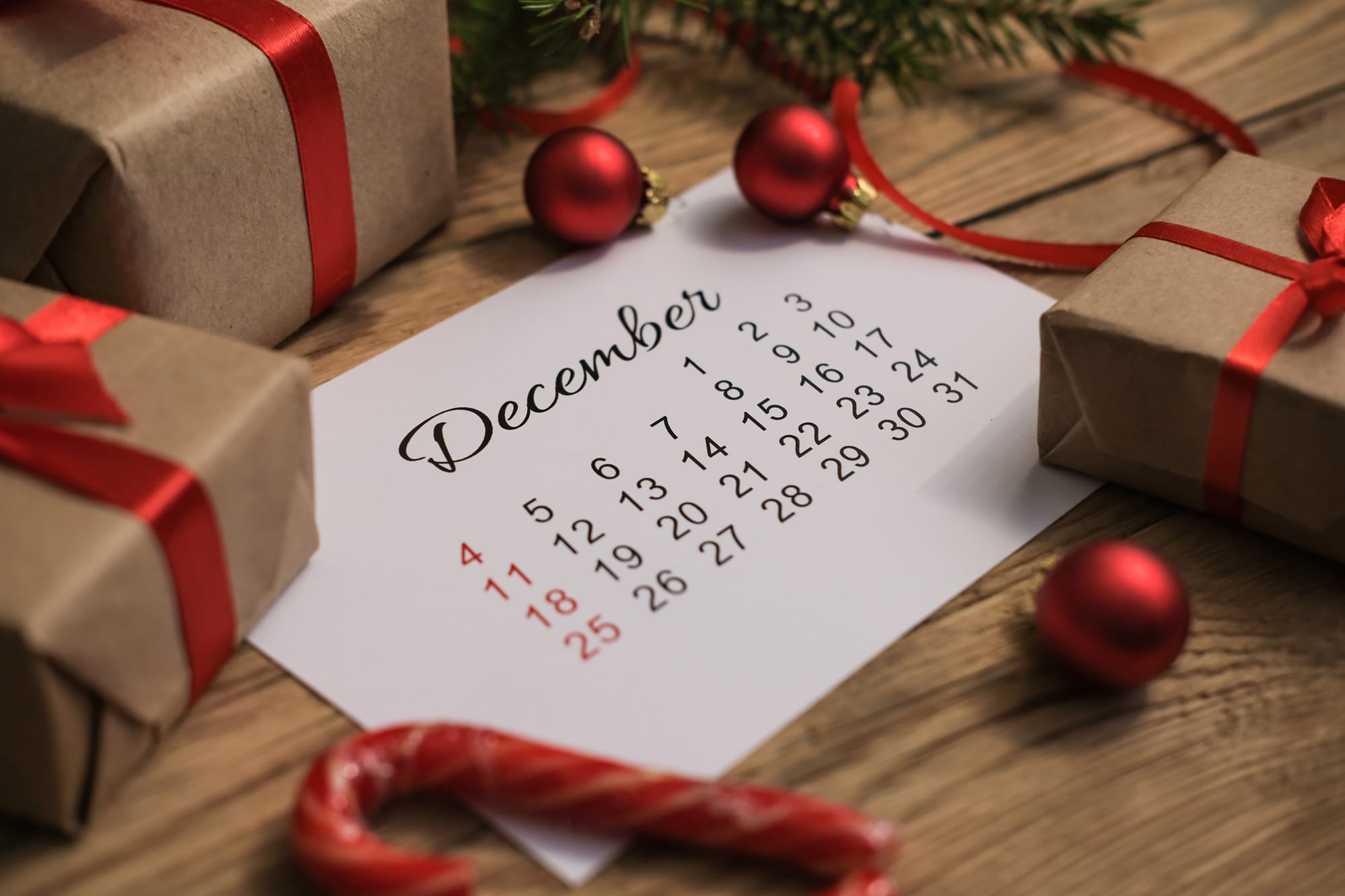 December 2024 Newsletter