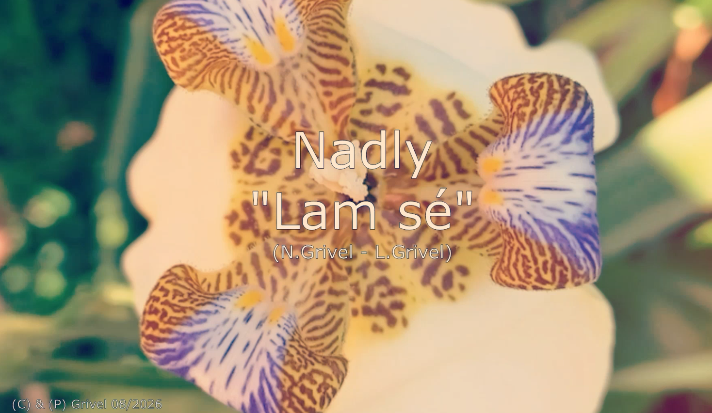 Nadly -Lam sé