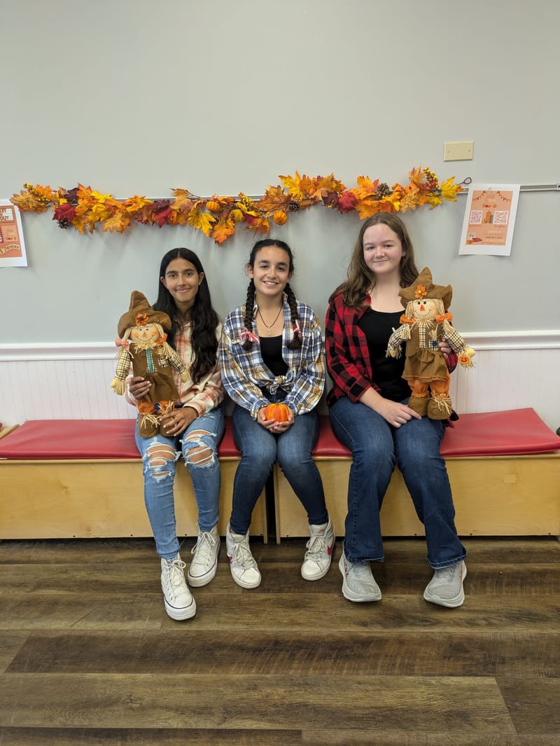 🧑‍🌾 Scarecrows VS Crows 🐦‍⬛