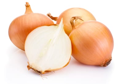 Onion Skinning