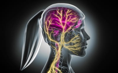 Dlaczego nerw błędny redukuje migrenowe bóle głowy