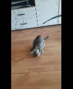 Naya à trouver son petit chez soi et à l'air bien avoir pris c'est marque.