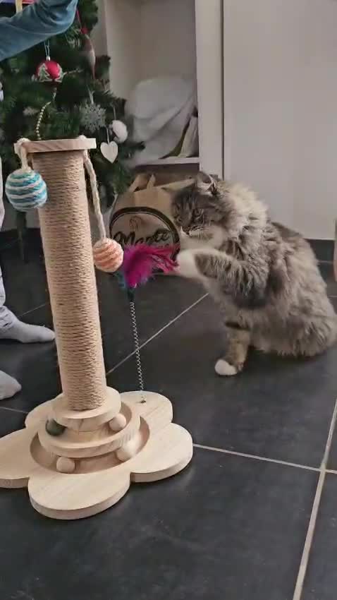 Fripouille est heureux dans sa Famille