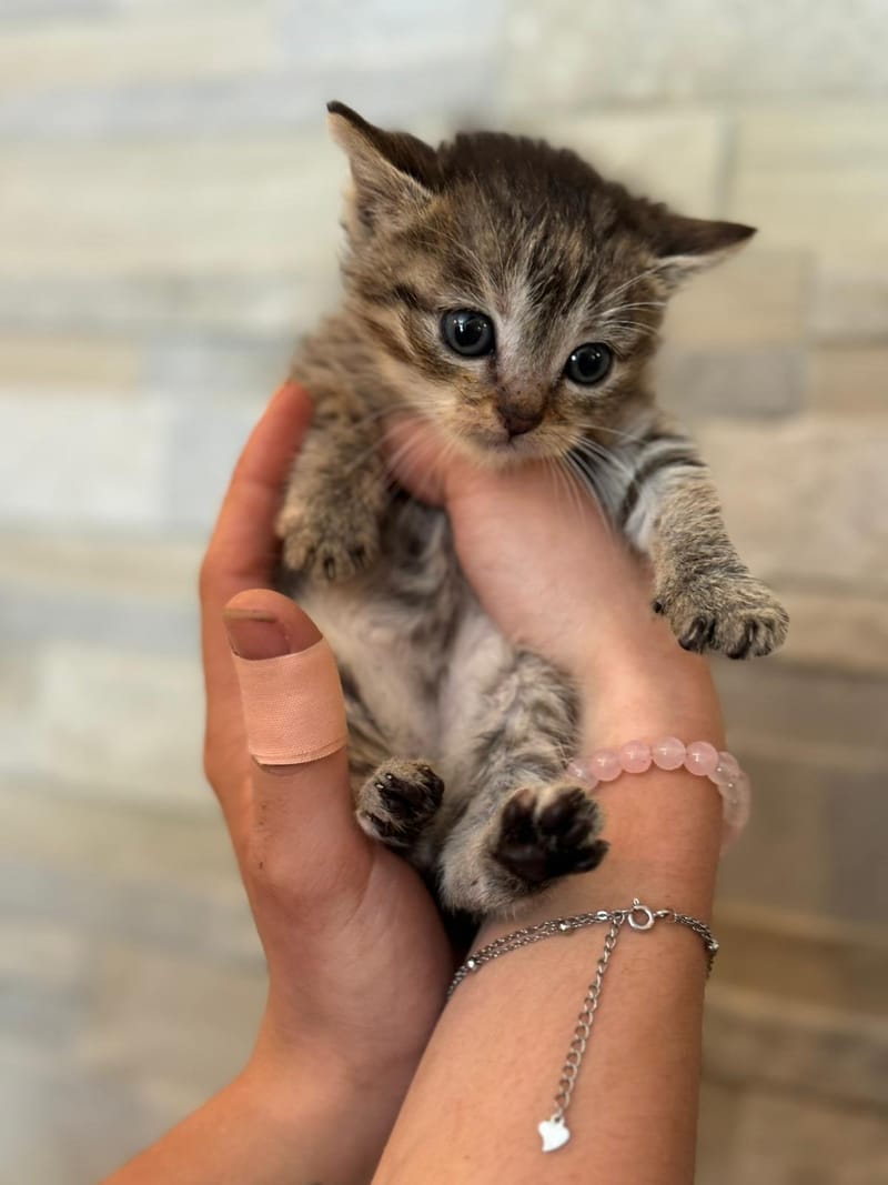 Naya à trouver son petit chez soi et à l'air bien avoir pris c'est marque.