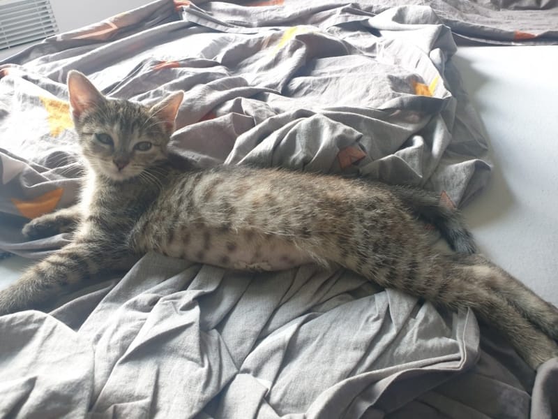 Naya à trouver son petit chez soi et à l'air bien avoir pris c'est marque.