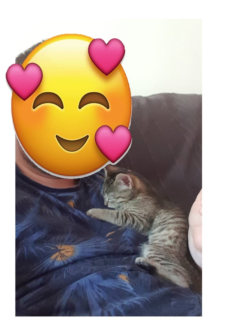 Naya à trouver son petit chez soi et à l'air bien avoir pris c'est marque.