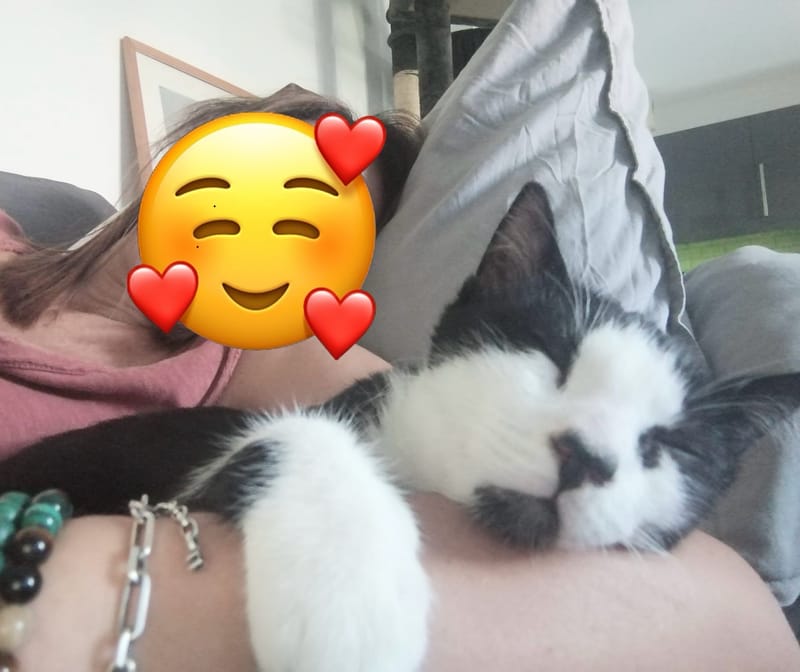 La nouvelle vie de Dali