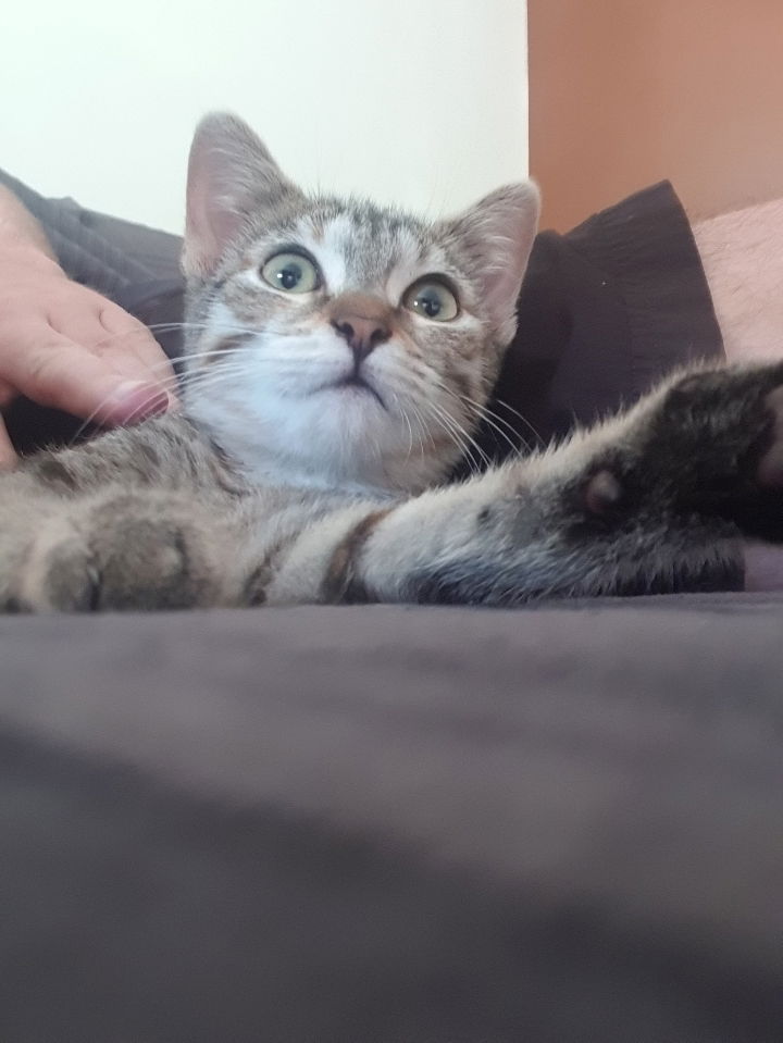 Naya à trouver son petit chez soi et à l'air bien avoir pris c'est marque.