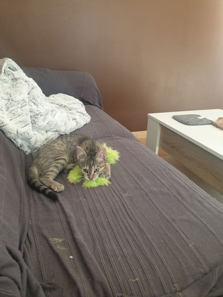 Naya à trouver son petit chez soi et à l'air bien avoir pris c'est marque.