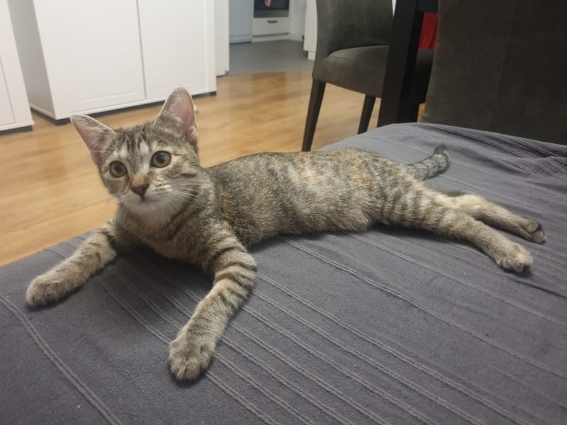 Naya à trouver son petit chez soi et à l'air bien avoir pris c'est marque.