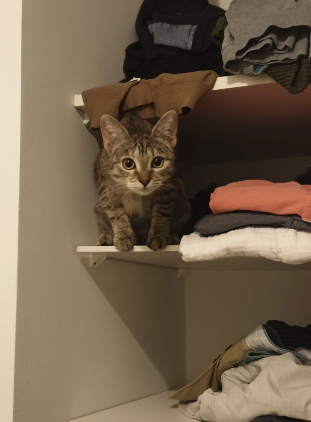 Naya à trouver son petit chez soi et à l'air bien avoir pris c'est marque.