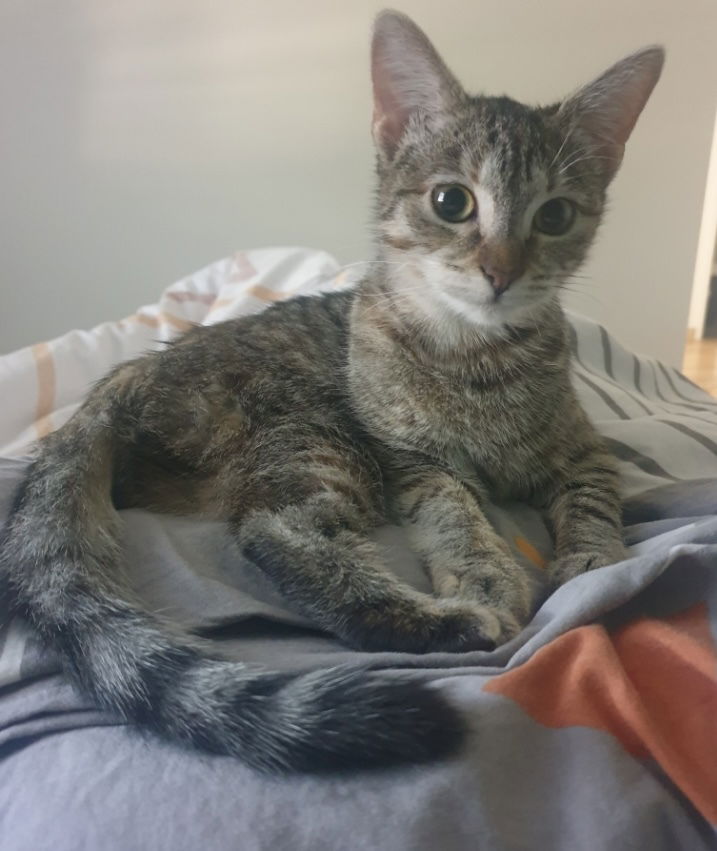 Naya à trouver son petit chez soi et à l'air bien avoir pris c'est marque.